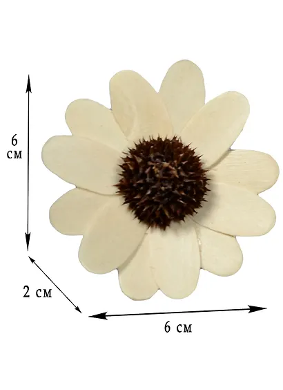 Природный декор, Астра (2шт*7см) блистер - фото 2