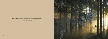 Деревья. Красота и гармония - фото 3