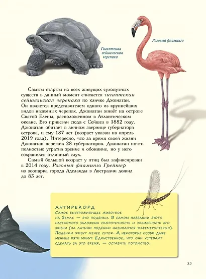 Самые-самые. Животные рекордсмены - фото 6