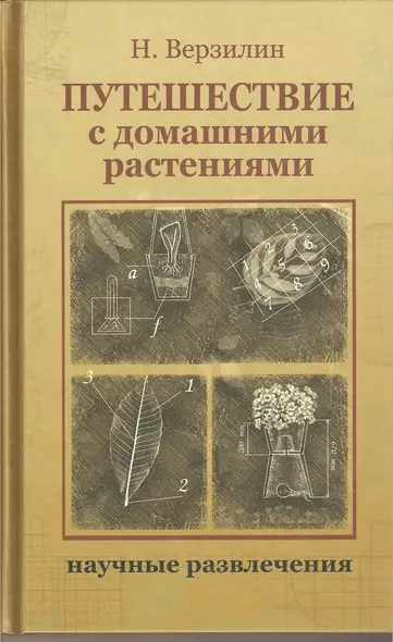 Путешествие с домашними растениями - фото 1