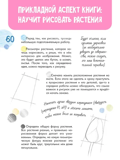 Растения в городе - фото 5