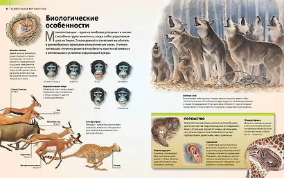 Удивительный мир животных - фото 5