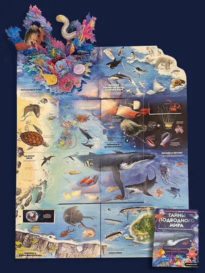 Тайны подводного мира - фото 14