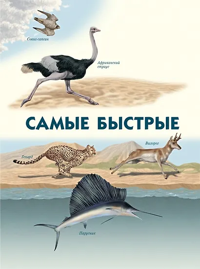 Самые-самые. Животные рекордсмены - фото 5