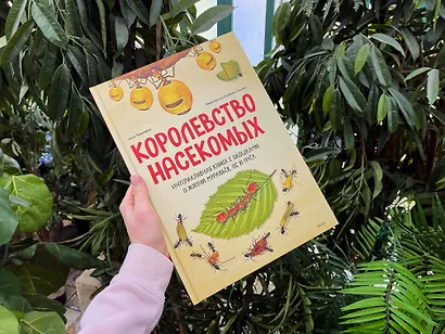 Королевство насекомых. Интерактивная книга с окошками о жизни муравьёв, ос и пчёл - фото 4