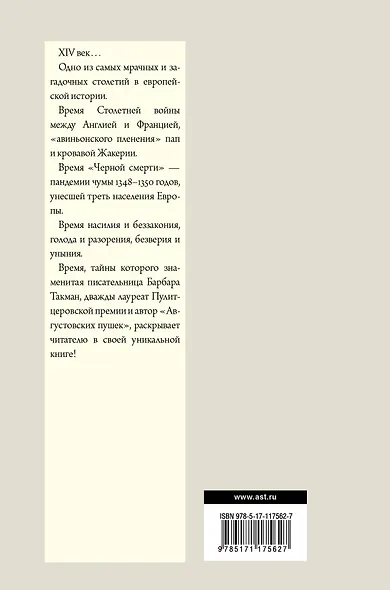 Загадка XIV века - фото 2