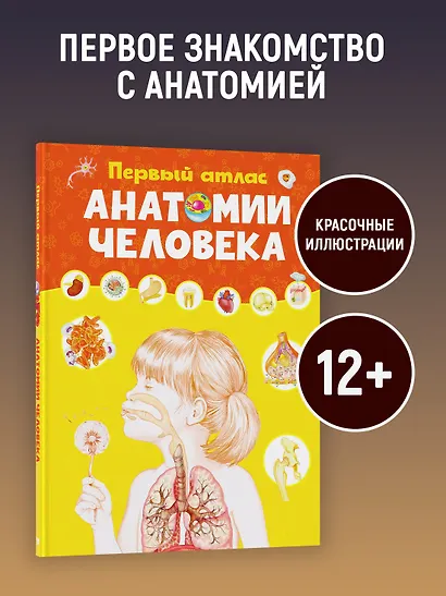 Первый атлас анатомии человека - фото 4