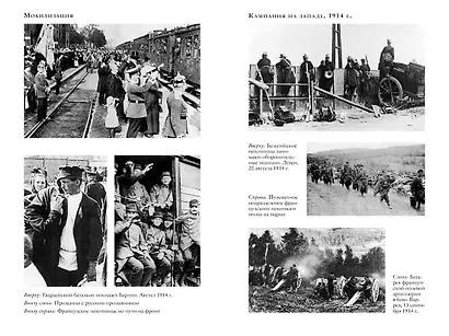 Первая мировая война. История Великой войны, которая расколола мир и привела Европу к гибели - фото 6