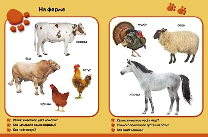 Мой зоопарк. Развиваем малыша (2-3 года) - фото 4