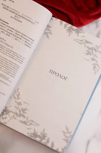 Тайное бюро иллюзий. Канун летнего солнцестояния. Книга 2 - фото 11