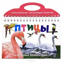 Птицы - фото 1