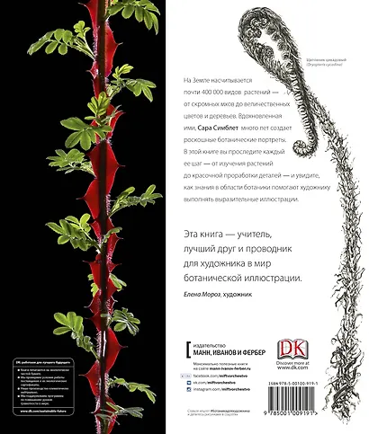 Ботаника для художника. Полное руководство по рисованию растений - фото 2
