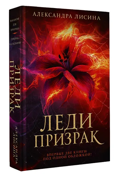 Леди-призрак: Вакансия для призрака, Призрак на задании - фото 3