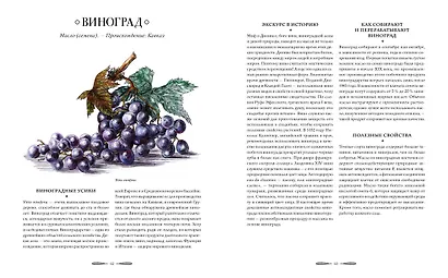 Атлас естественной красоты. Натуральные ингредиенты для ухода за кожей и приумножения вашей красоты - фото 6