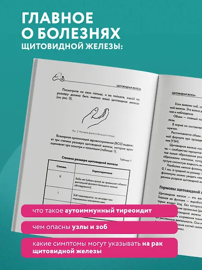 Щитовидная железа. Все от анализов до методов лечения - фото 7