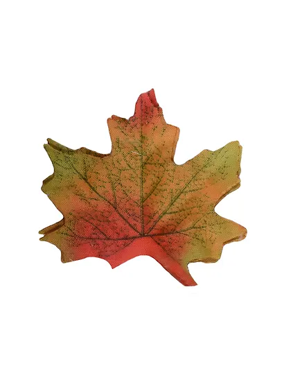 Листья кленовые в инд. уп. с подвесом желтый (11-00094-19) - фото 1