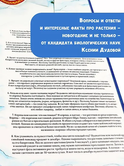 Адвент-календарь. Новогодняя ботаника: прогулка по зимнему лесу - фото 5