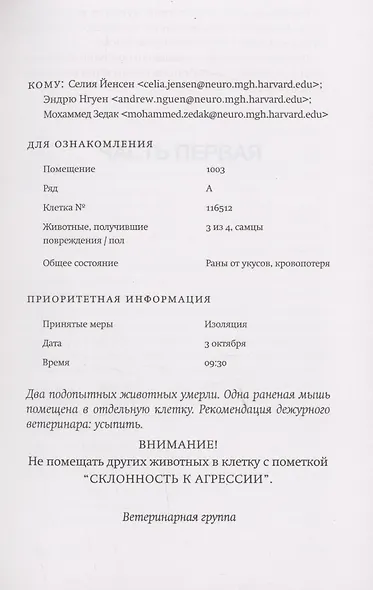 Фаза 3 - фото 6