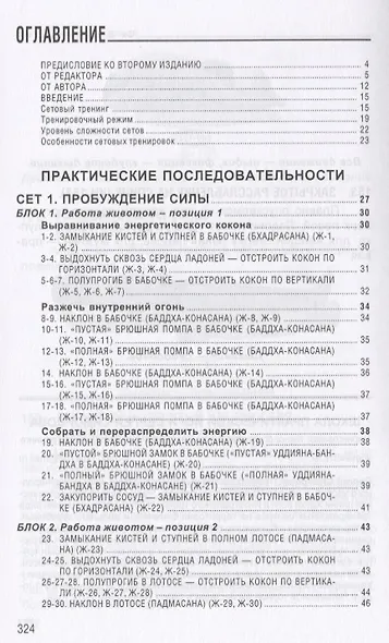 Йога восьми кругов сетовый тренинг (4 изд.) (м) Ясочка - фото 2