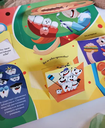 Всё о зубах. Открывай и изучай! - фото 9