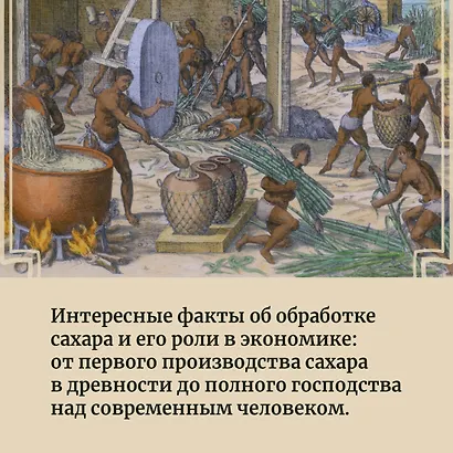 Сладкая история мира. 2000 лет господства сахара в экономике, политике и медицине - фото 7