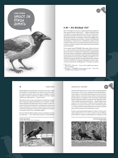 Самые умные птицы на свете. Вороны - фото 7