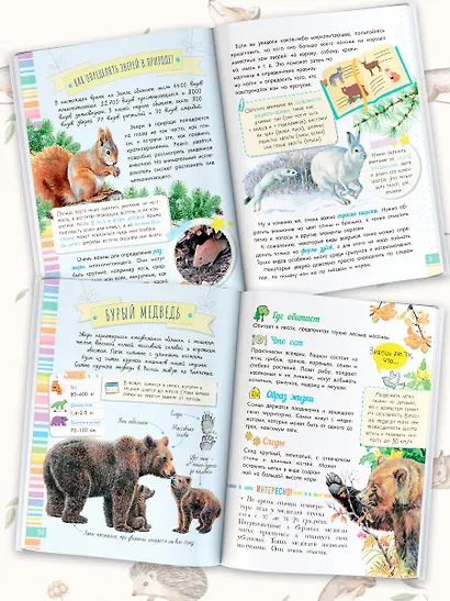 Такие разные животные - фото 4