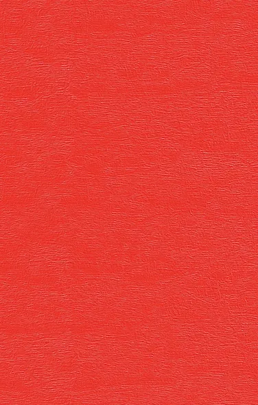 Белая голубка Кордовы - фото 2