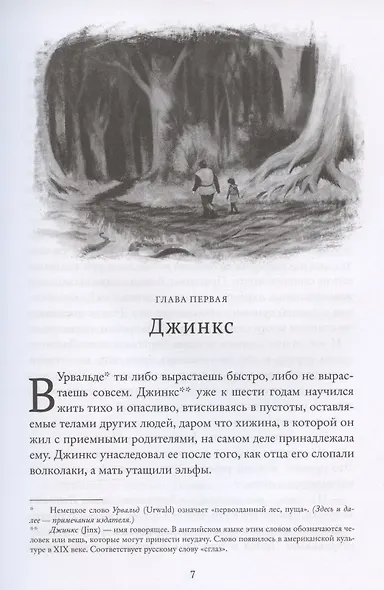 Джинкс. Книга первая - фото 4
