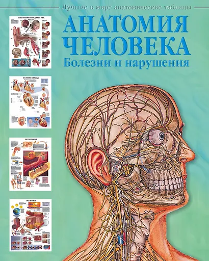 Атлас анатомии человека. Болезни и нарушения - фото 1