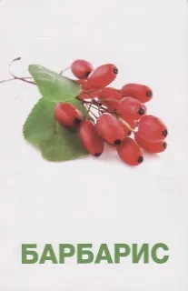 Фрукты и ягоды. Развивающие карточки - фото 5