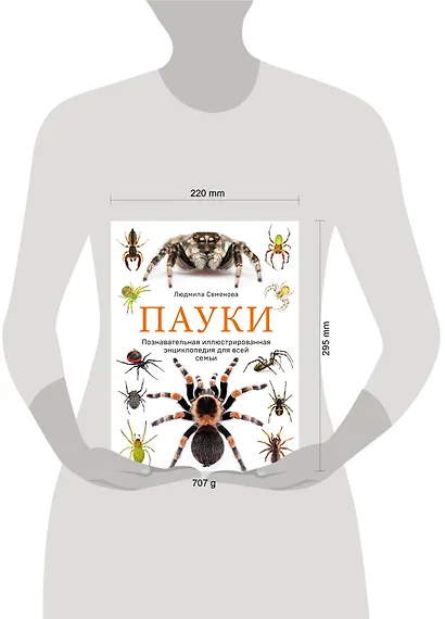 Пауки: познавательная иллюстрированная энциклопедия для всей семьи - фото 5