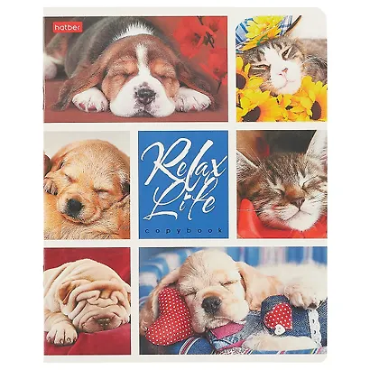 Тетрадь в клетку Hatber, Relax Life, 24 листа, в ассортименте - фото 4