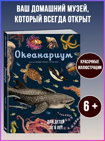 Океанариум - фото 4