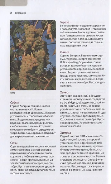 Садовый виноград. Иллюстрированное руководство - фото 3