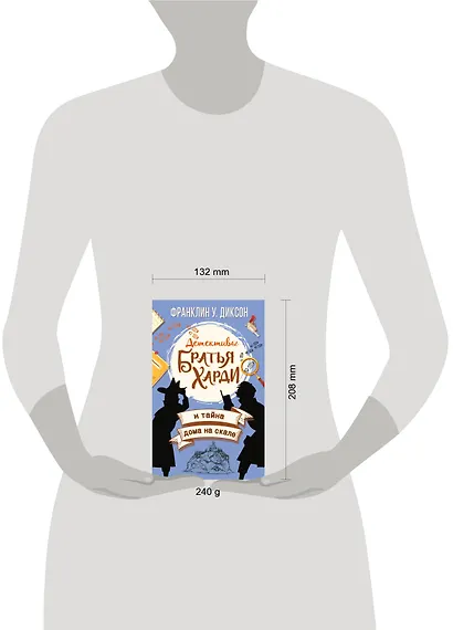 Братья Харди и тайна дома на скале - фото 3