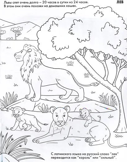 Животные. Развивающие раскраски - фото 3