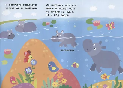 Кто живет в жарких странах? - фото 4