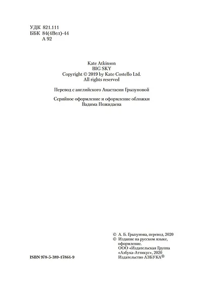 Большое небо - фото 6