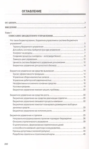 Постановка системы бюджетного управления или три координаты бизнеса: БДР, БДДС, ББЛ - фото 2