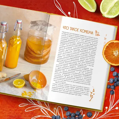 Комбуча. Искусство сочетания вкуса и пользы. Рецепты чайного гриба и напитков из него. - фото 7