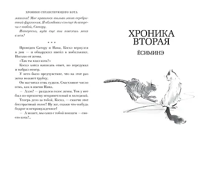 Хроники странствующего кота - фото 13