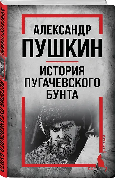 История Пугачевского бунта - фото 3