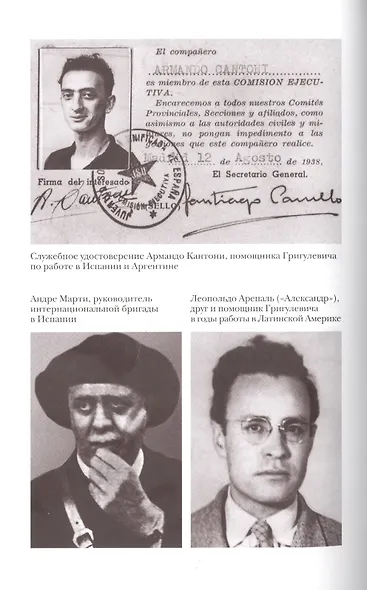 Иосиф Григулевич - фото 6