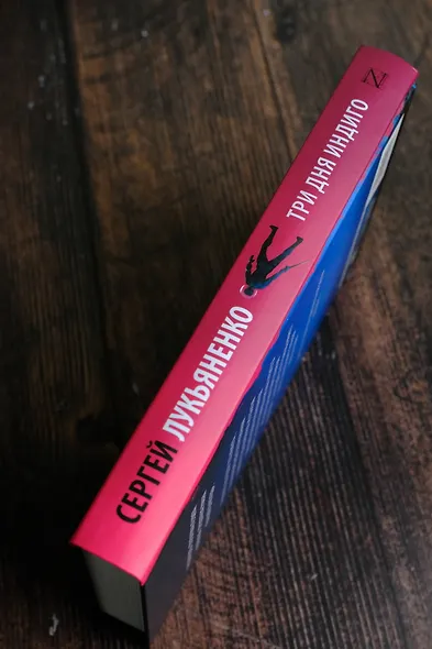 Три дня Индиго - фото 12