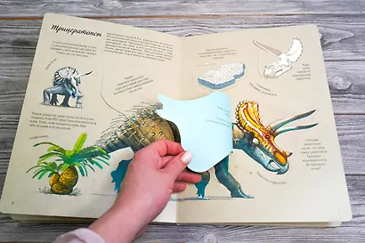 В мире динозавров. Книжка с окошками - фото 6