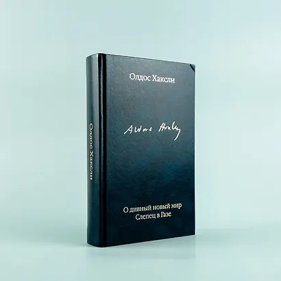 О дивный новый мир. Слепец в Газе - фото 6