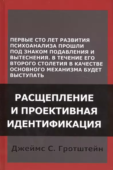 Расщепление и проективная идентификация (СПТиП) Гротштейн - фото 1