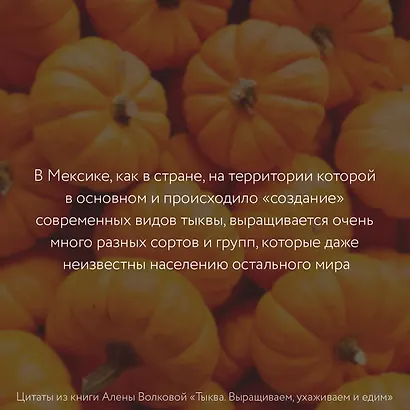 Тыква. Выращиваем, ухаживаем и едим - фото 5