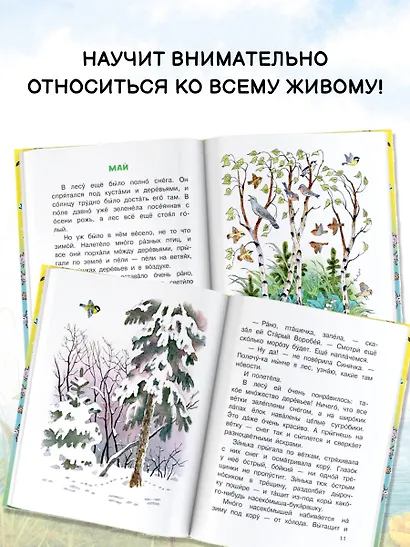 Синичкин календарь - фото 5